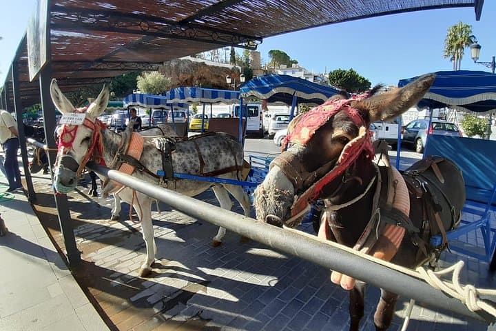 Mijas Pueblo Private 90‑Minute Walking Tour — White Streets, Sea Views & Local Stories photo 4