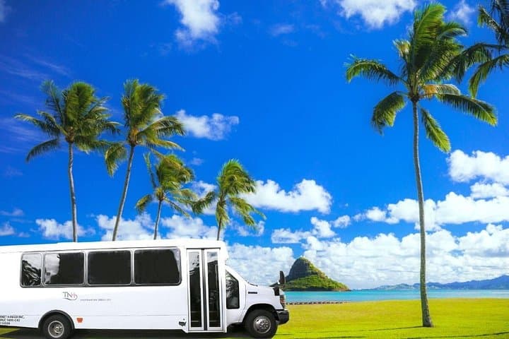 Oahu Island Full-Day Sightseeing Tour — Diamond Head, North Shore & Dole Plantation photo 3
