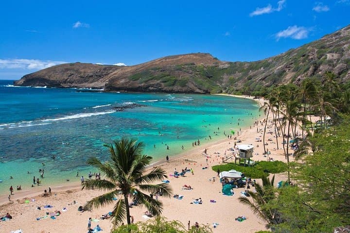 Oahu Island Full-Day Sightseeing Tour — Diamond Head, North Shore & Dole Plantation photo 4