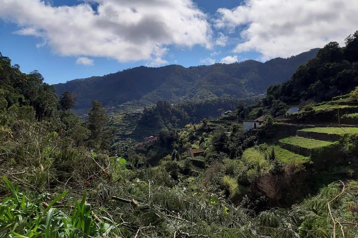 Levada dos Maroços Walk — Easy Agricultural Levada Hike Above Machico, Madeira photo 6