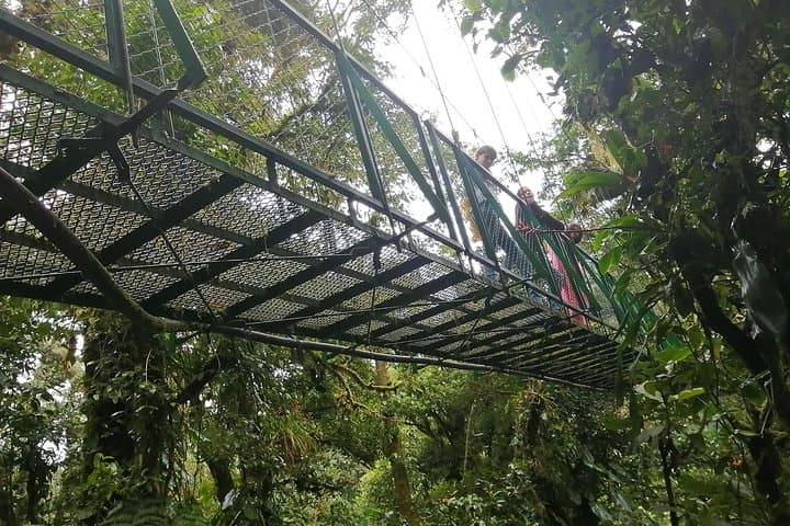 Full-Day Rincón de la Vieja: Ziplines, Hot Springs & Horse Ride Adventure photo 5