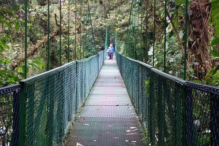 Full-Day Rincón de la Vieja: Ziplines, Hot Springs & Horse Ride Adventure photo 6