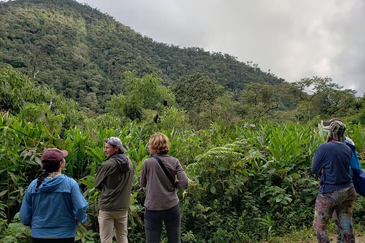 4-Day Manu National Park Rainforest Expedition — Birding, Clay Licks & Oxbow Lakes photo 4