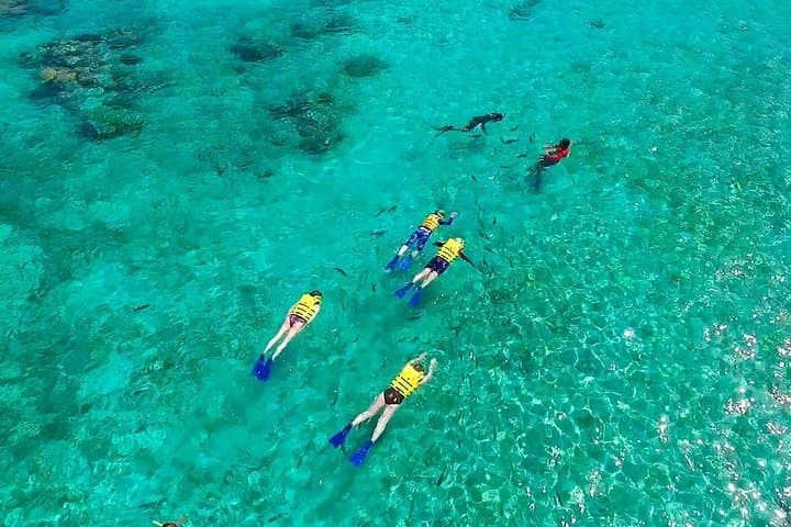 Cancun Basic Snorkel Experience: Snorkel the MUSA Reef, Seagrass & Shipwreck with Transport photo 5