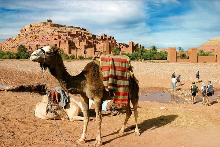 Ait Benhaddou Day Trip from Marrakech: Kasbahs, Tichka Pass & Glaoui Kasbah