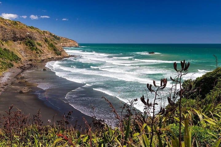 Muriwai Beach & Gannet Colony Private Tour — Black Sand, Surf and Wine Tasting photo 2