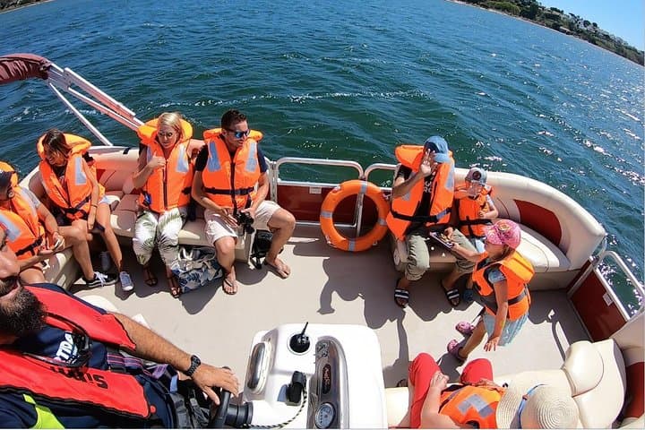 Óbidos Lagoon Boat Tour — Wildlife, History & Coastal Marshes photo 2