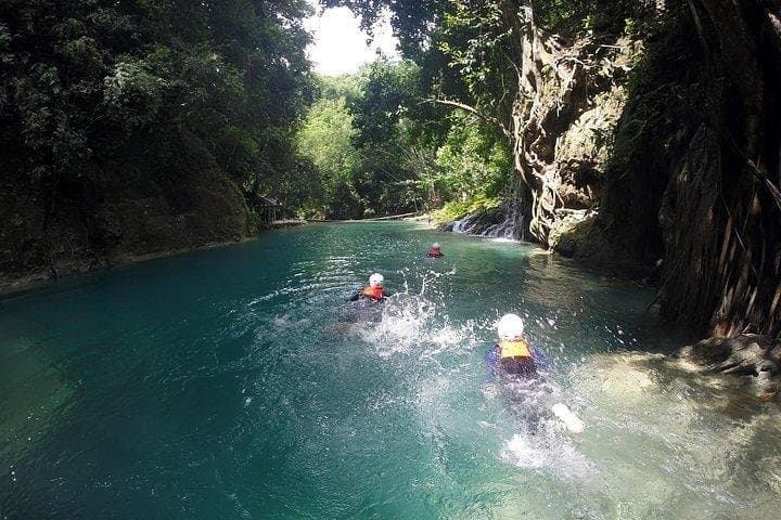Oslob Whale Shark Watching & Badian Canyoneering: Full-Day Cebu Adventure