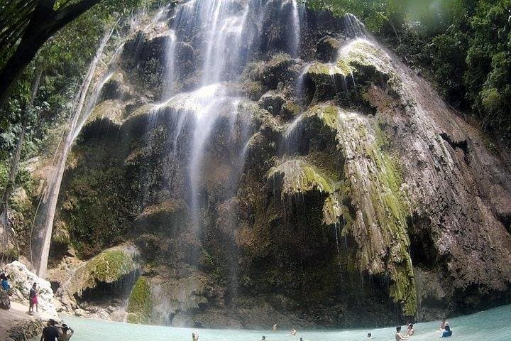 Oslob Whale Shark Watching & Badian Canyoneering: Full-Day Cebu Adventure photo 4