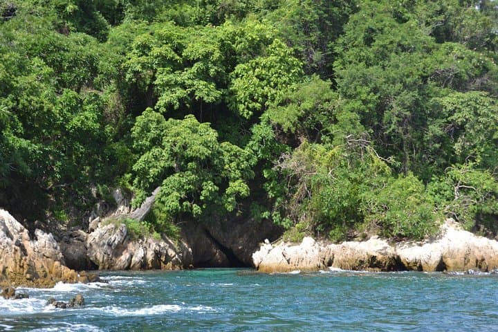 Yelapa & Majahuitas Snorkeling Cruise from Puerto Vallarta — Waterfall Walk, Reefs & Beach Lunch photo 4