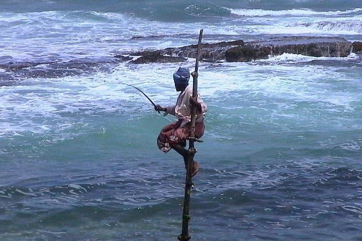 Galle Fort and Madu River: Private Day Tour from Colombo or Negombo photo 4