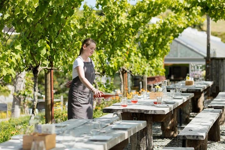 Matakana Art & Wine Village Private Tour: Sculptureum, Markets & Tastings photo 2