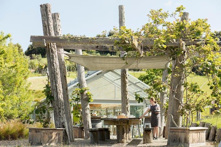Matakana Art & Wine Village Private Tour: Sculptureum, Markets & Tastings photo 4
