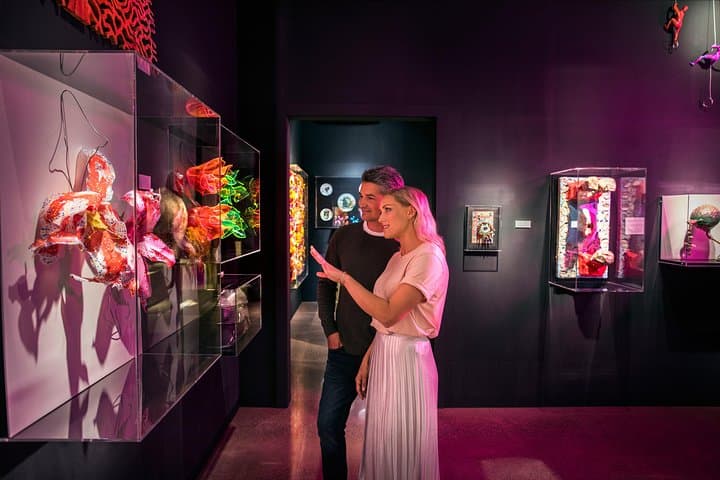 Matakana Art & Wine Village Private Tour: Sculptureum, Markets & Tastings photo 5