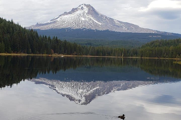 Mt Hood Loop Tour from Portland: Columbia River Gorge, Waterfalls & Timberline Lodge photo 2