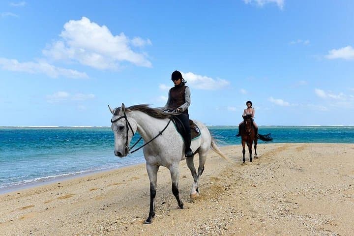 Riambel Beach Horseback Ride — 1-Hour Sunset Horse Riding in Mauritius photo 3