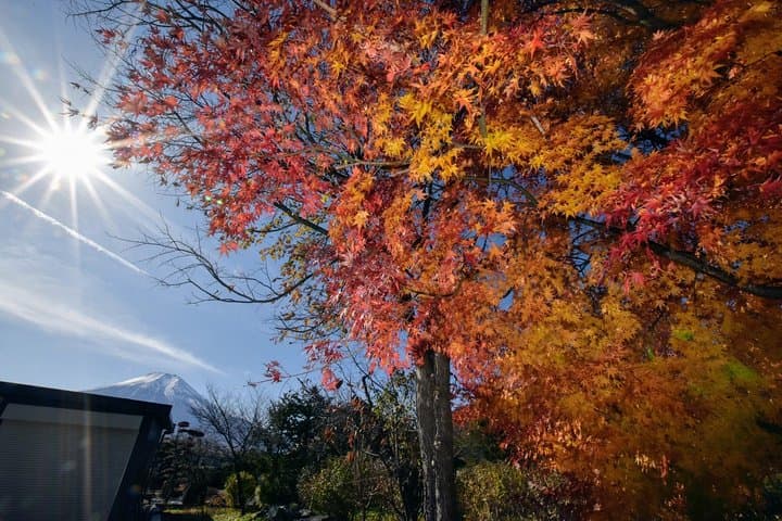 Gotemba Outlets + Mt. Fuji Views: Private Van Tour to Lake Kawaguchi or Hakone photo 6