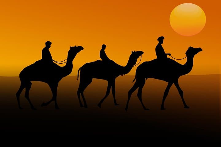 Evening Desert Safari Dubai: Dune Bashing, Camel Rides & Sunset BBQ photo 5