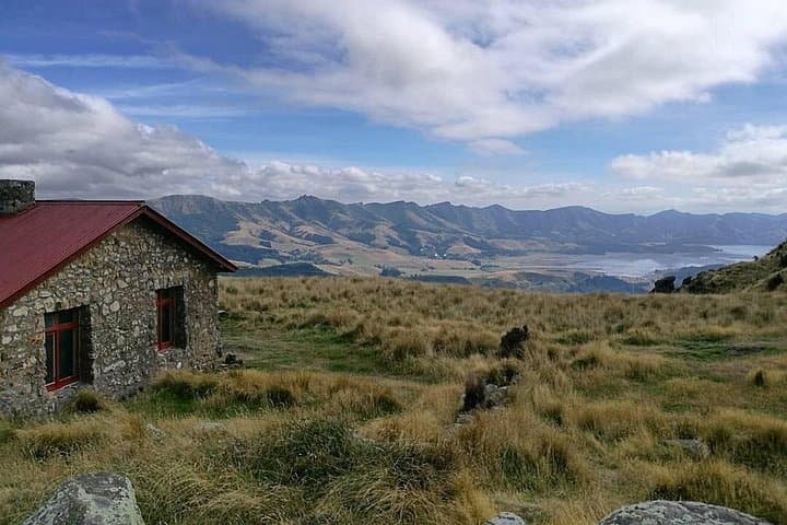 Packhorse Hut Guided Walk — Port Hills Day Hike from Christchurch photo 1