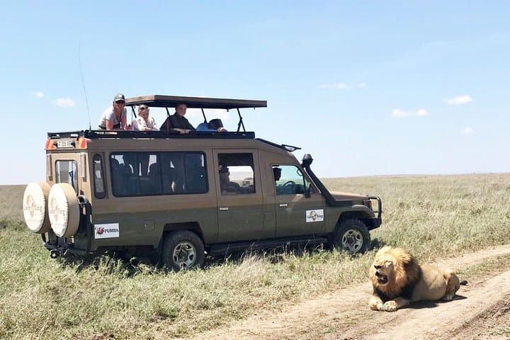 Spectacular Serengeti Migration: 8-Day Mid‑Range Safari in Tanzania photo 3