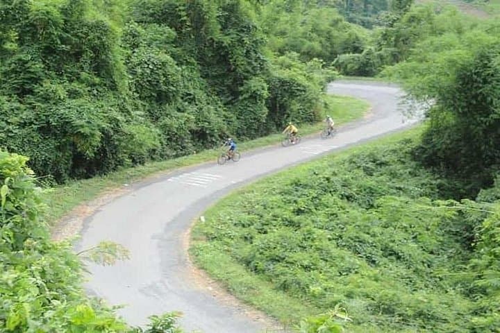 Dalat to Mui Ne Full-Day Cycling Tour: 70km Descent Through Coffee, Forest & Rice Fields photo 3