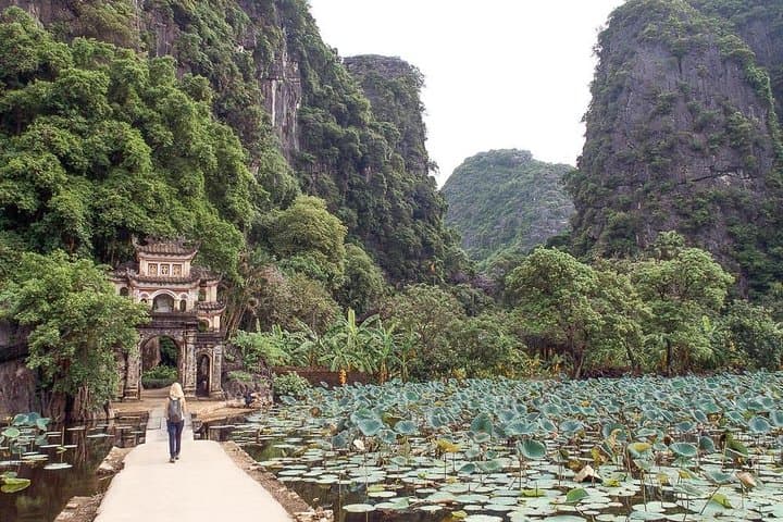 Ninh Binh Day Trip from Hanoi: Trang An, Mua Cave & Tam Coc in One Day photo 5