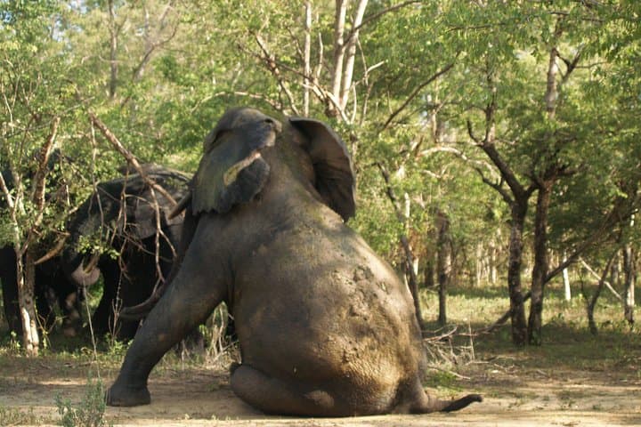 Seven-Day Eco Tour of Ghana — Waterfalls, Wildlife & Cultural Heritage photo 6