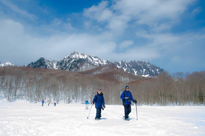 Nagano Snow Monkey Park & Togakushi Snowshoeing — Full-Day Winter Tour photo 3