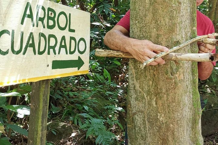 El Valle de Antón Hiking & Swimming: Day Trip to Chorro el Macho and the Square Trees photo 2