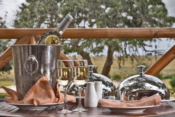 2-Day Tsavo East Safari: Ashnil Aruba Lodge Luxury Wildlife Experience photo 2