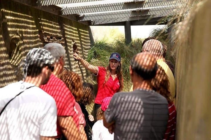 Canadian Battlefields Day Tour from Bayeux: Juno Beach & Normandy Sites photo 4