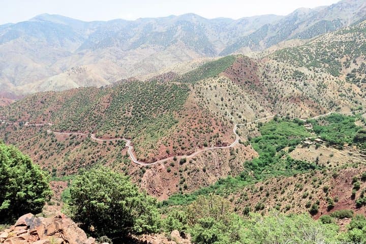 Marrakesh to Ouzoud Waterfalls: Day Trip Guide to Morocco's 110m Cascades photo 5