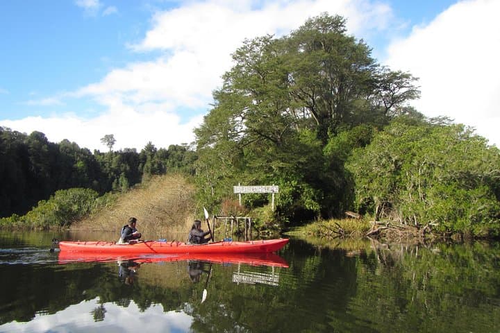 Half-Day Kayak Tour at Laguna La Poza — Volcano Views & Calm Water Paddle from Puerto Varas photo 2