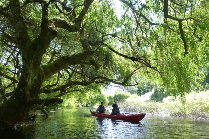 Half-Day Kayak Tour at Laguna La Poza — Volcano Views & Calm Water Paddle from Puerto Varas