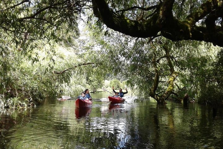 Half-Day Kayak Tour at Laguna La Poza — Volcano Views & Calm Water Paddle from Puerto Varas photo 4