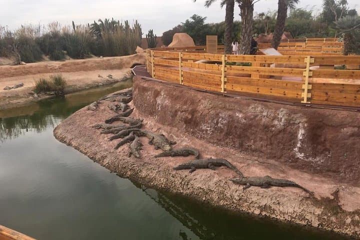 Crocoparc Agadir: Crocodile Park & Botanical Gardens Afternoon Tour photo 6