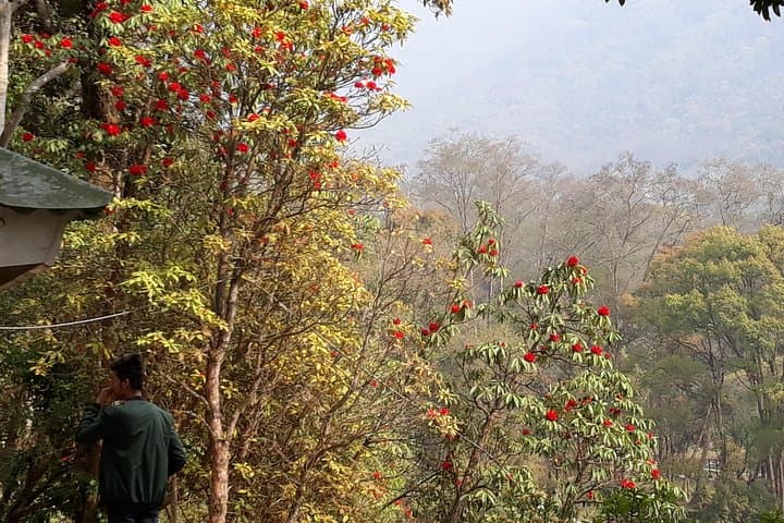 10-Day Annapurna Base Camp Trek via Ghandruk and Machhapuchhre photo 2