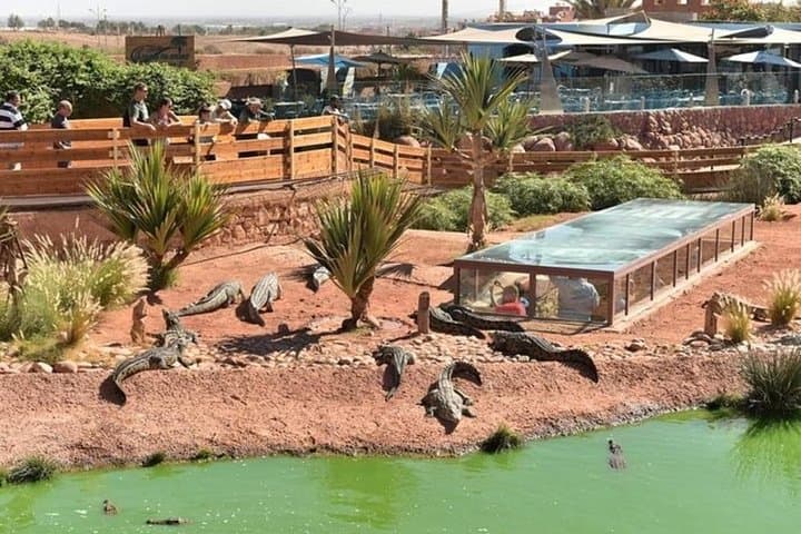Crocoparc Agadir: Crocodile Park & Botanical Gardens Afternoon Tour