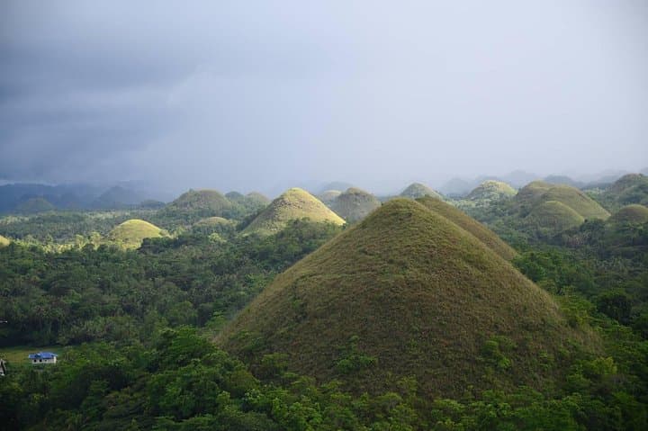 Day trip to Bohol's Chocolate Hills & Tarsiers — roundtrip ferry from Cebu