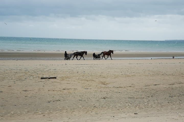 Exploring History: A Half-Day Trip to Normandy Beaches photo 5