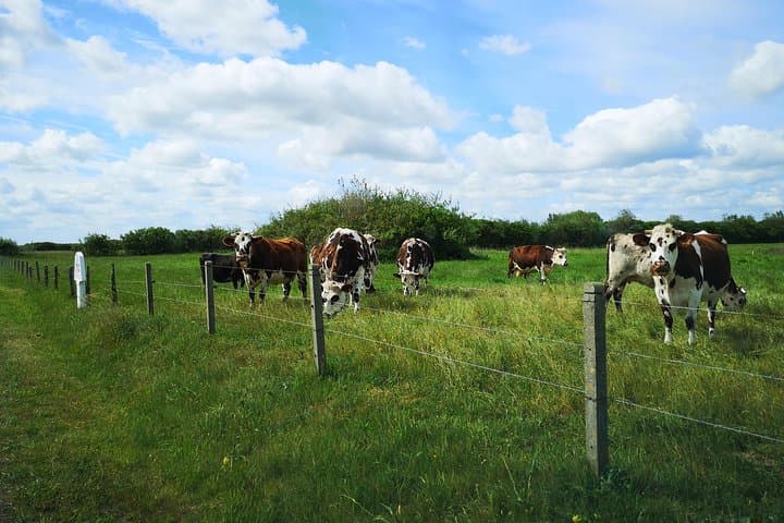 Explore the Historic Normandy Battlefields: A Journey Through American D-Day Sites photo 6