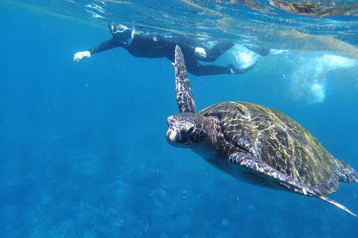 Santa Fe Island & Hidden Beach: Galápagos Day Tour with Snorkeling and Fishing photo 2