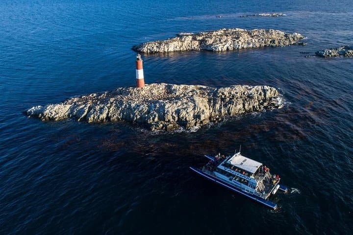 Beagle Channel Catamaran to Isla de Lobos and Les Eclaireurs Lighthouse photo 5