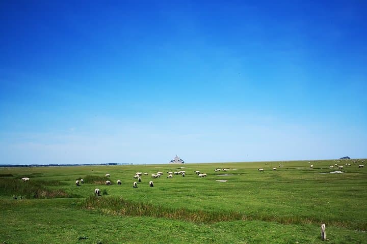 Mont Saint-Michel Private Day Trip from Caen: Abbey, Tides & Medieval Village photo 5