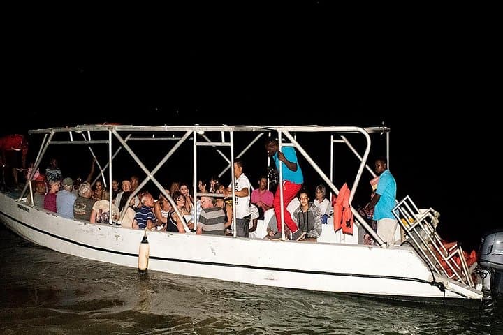 Mystic Lagoon Guided Boat Ride and Swim — Nighttime Luminous Lagoon Cruise near Montego Bay photo 4