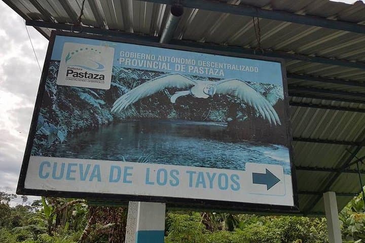 Explore Los Tayos Cave: One-Day Jungle Tour to Mysterious Caverns and Light Wells photo 6