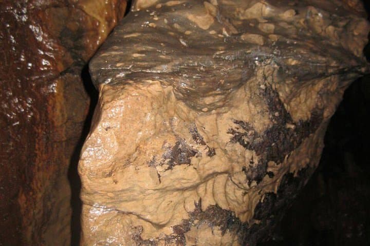 Explore Los Tayos Cave: One-Day Jungle Tour to Mysterious Caverns and Light Wells photo 2