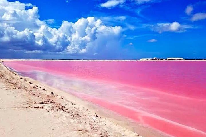 Las Coloradas & Río Lagartos Pink Lake and Wildlife Day Trip from Tulum photo 4