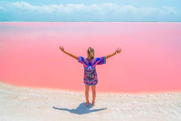 Las Coloradas & Río Lagartos Pink Lake and Wildlife Day Trip from Tulum photo 5