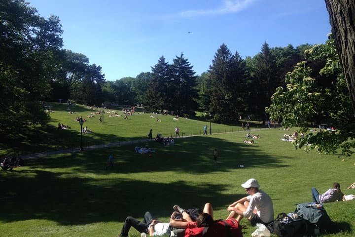 Central Park to the Upper East Side: 2–3 Hour Guided Walking Tour of Manhattan's Iconic Green Space photo 5